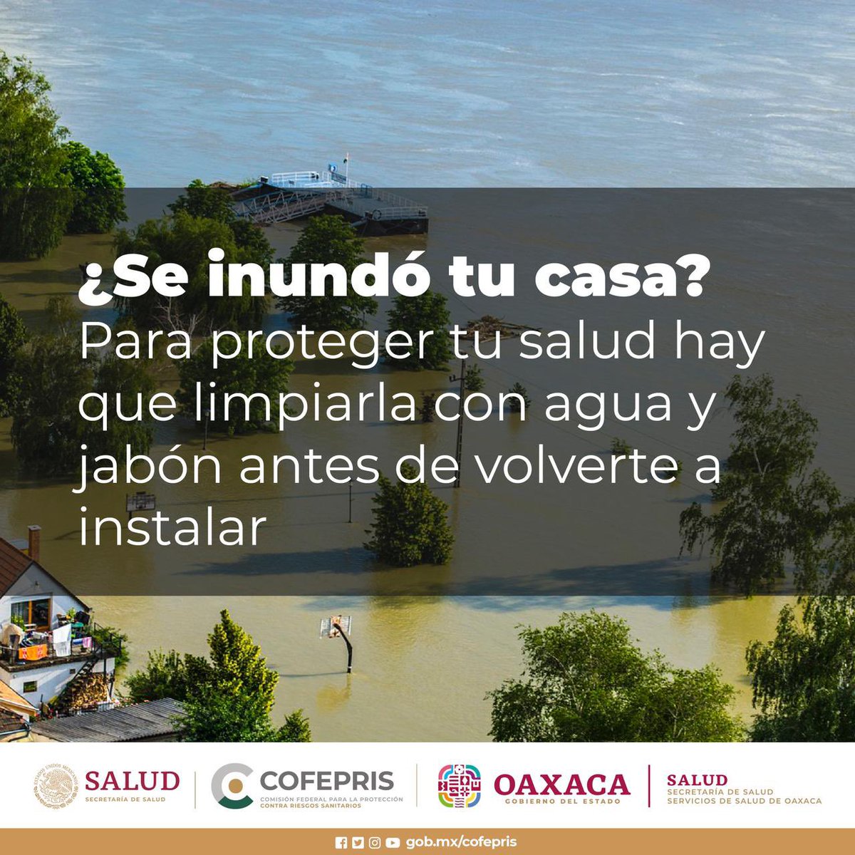SSO_GobOax's tweet photo. Las inundaciones pueden dar lugar a brotes de enfermedades transmisibles, de ahí la importancia de realizar medidas preventivas para proteger tu salud en caso de una contingencia. 

#CofeprisTeCuida
#PrevenirEsMejor https://t.co/N2rtPZoV71