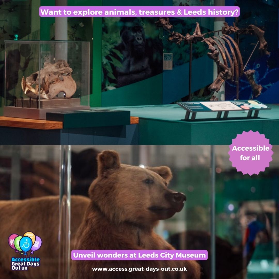 Discover a world of wonders at <a href="/LeedsCityMuseum/">Leeds City Museum</a>
where captivating stories and hidden treasures come to life. Fully wheelchair-friendly with all floors accessible via a convenient lift. 
🌐 agdo.uk 
@Leedsmuseums 
#AccessibleDaysOut #Leeds #Yorkshire #VisitLeeds