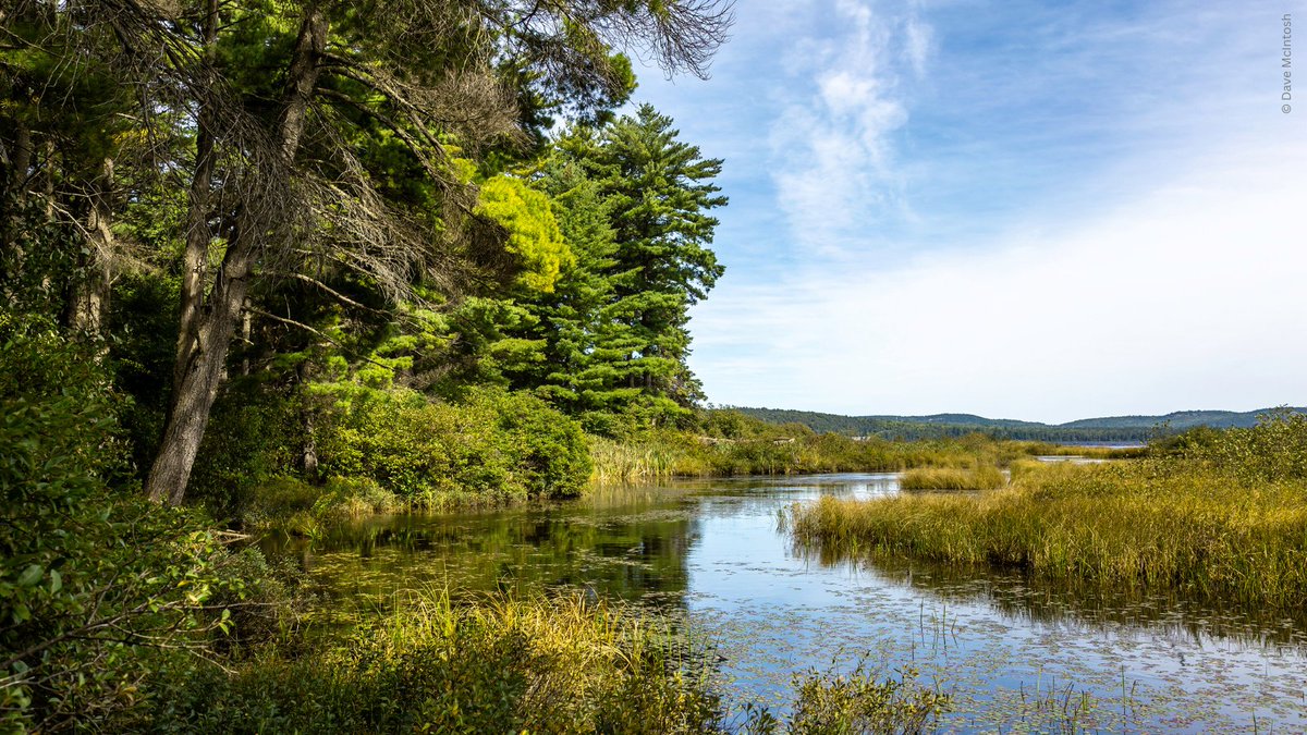 Alliance for a Liveable Ontario calls on Ontario's Auditor General and Integrity Commissioner to expand investigations to include several other recent land-use planning decisions made by the Province.

Read the full letter: ow.ly/fbaN50PAQ6S #ONGreenbelt #ONpoli