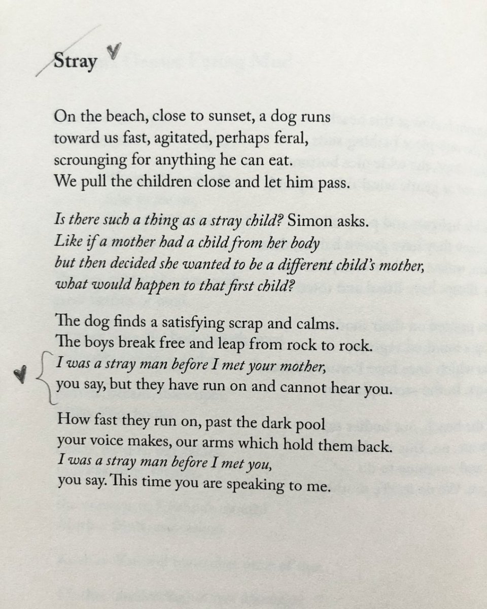 readalittlepoem's tweet image. Day 18 of The Sealey Challenge (@SealeyChallenge). Today&apos;s offering is American Sublime by Elizabeth Alexander (@ProfessorEA), published by Graywolf Press (@GraywolfPress), 2005. 

#TheSealeyChallenge #sealeychallenge #thesealeychallenge2023