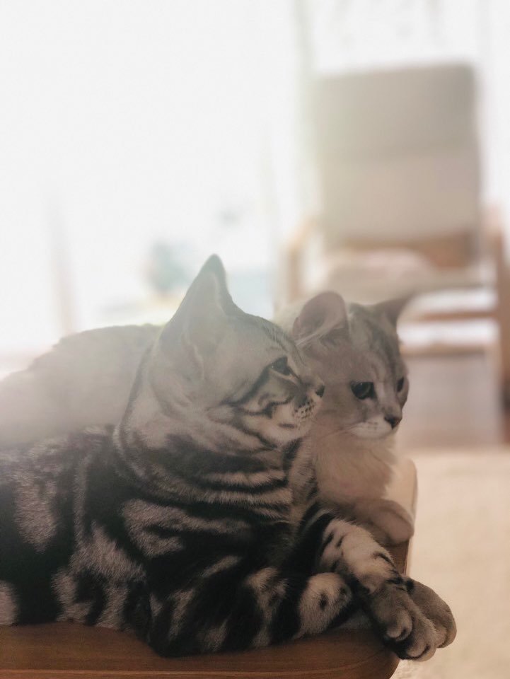 190819 공카
#원호 #WONHO