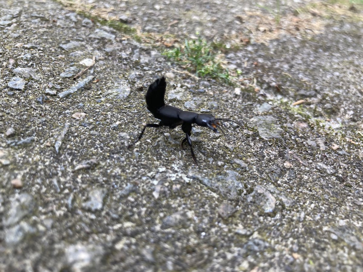 Jan Willem Onnink tweet media