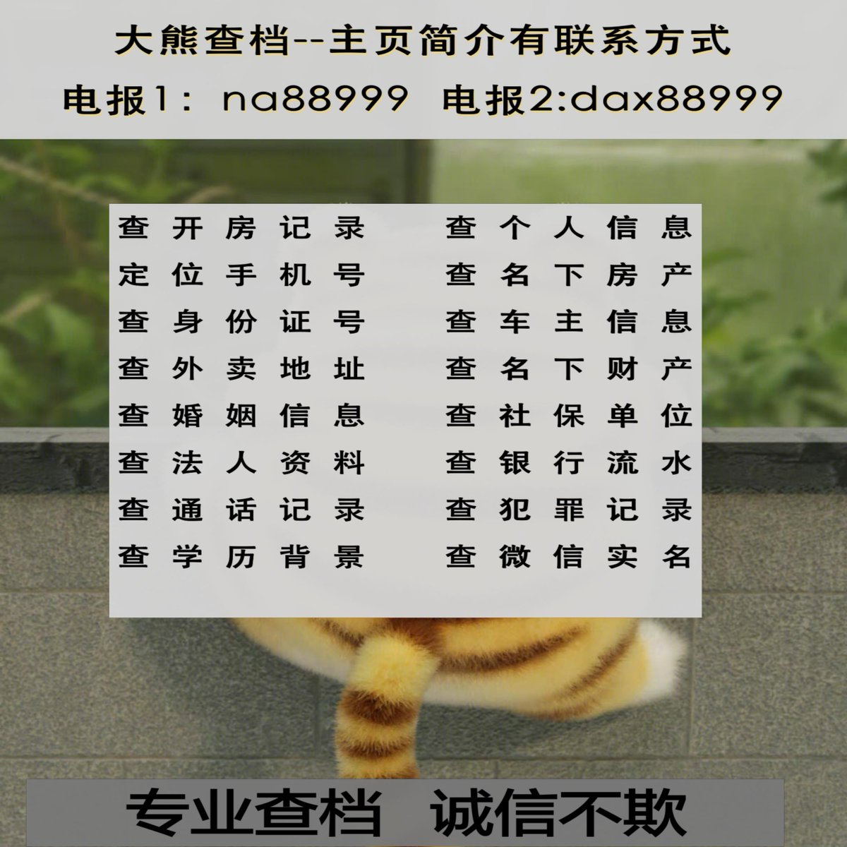 AiniAissa's tweet photo. 9991200🥲🤓
查开房记录 #查车辆行驶轨迹 #查手机号 #人脸识别 #查婚史 #查身份证实名 #查常用手机号 #学籍查询 #查全家信息 https://t.co/1WXNniCJ3Q