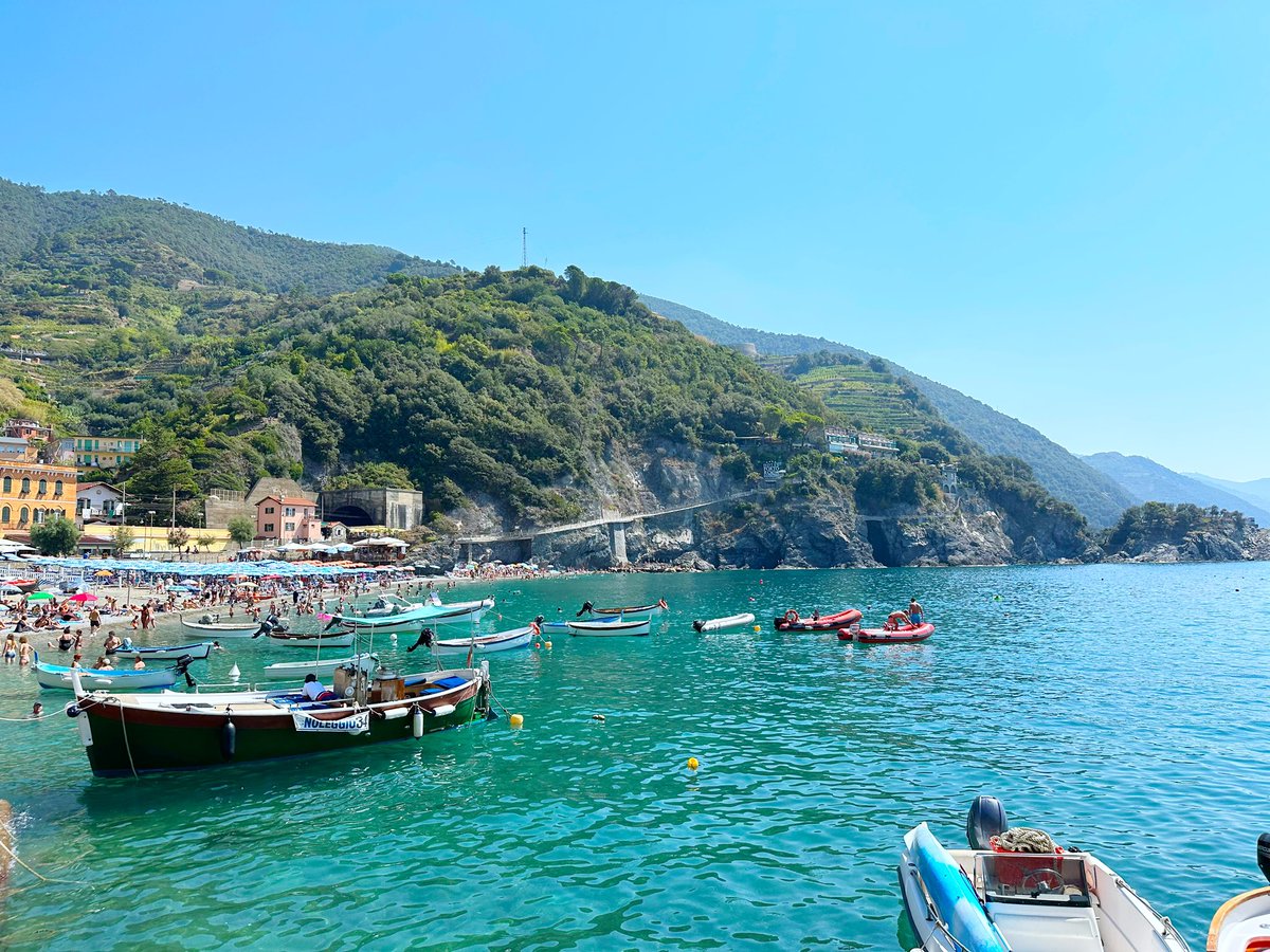 Robyn Silverstone tweet media