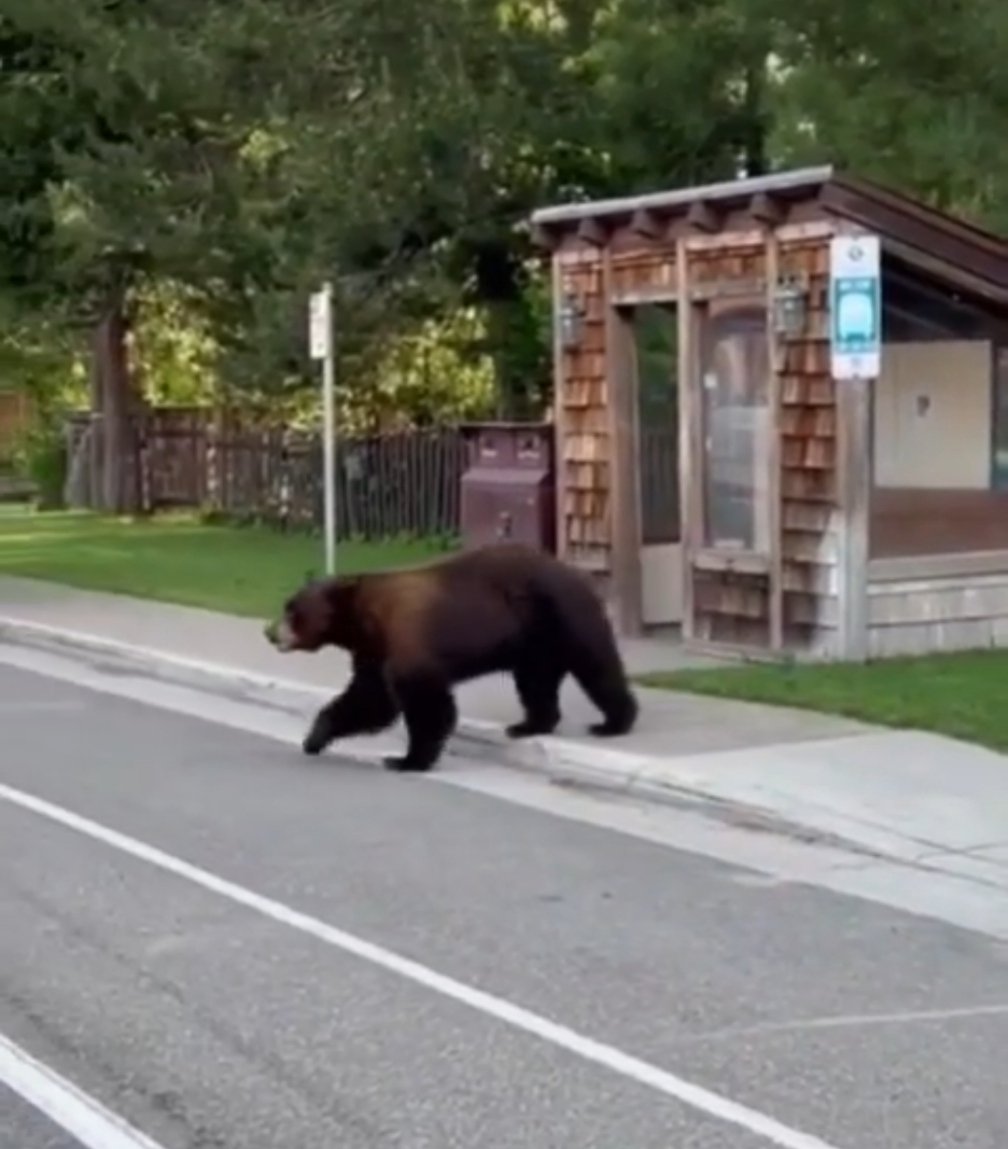 A JOURNEY MAN ☁️☁️☁️ (@frederickw67449) on Twitter photo 