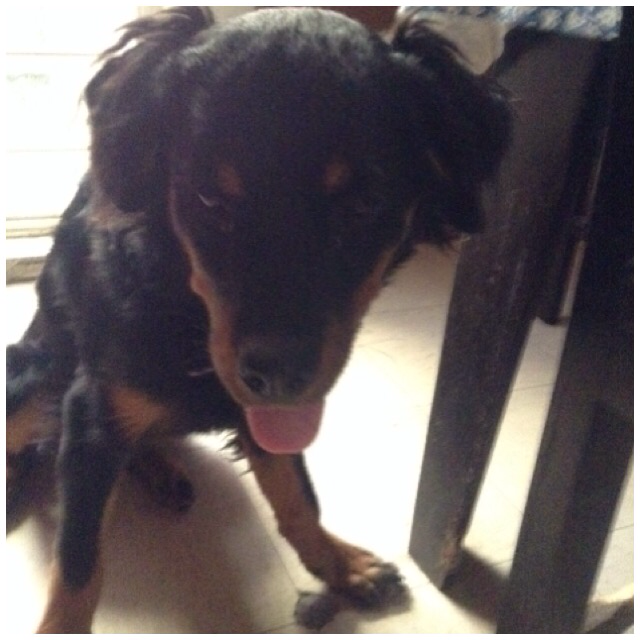 claurora21's tweet photo. Acabo de correr 5.33 km con Nike+. #nikeplus https://t.co/tqpBLjHZWJ