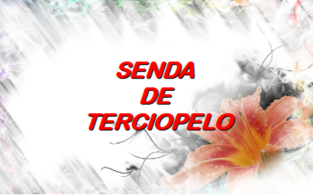 sinaptando's tweet photo. La Fada Blanca i la Porta Transparent : Senda de terciopelo https://t.co/5au5WnvWSR https://t.co/KCR6RGtQJq