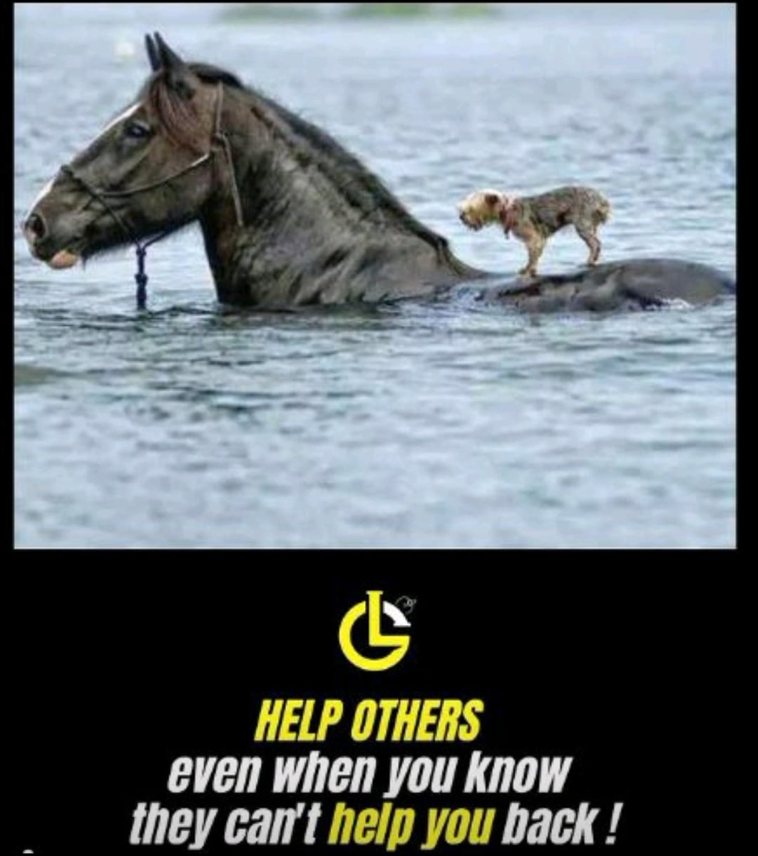 strugglingnow's tweet image. Everyone needs a little help. Don't be afraid to ask, search, learn, help comes in different ways. Be humble, Let's GO: youtube.com/stopstruggling… 

@strugglingnow #stopstrugglingnow #helpothers #alwayslearn #helpyourself #helpcommunity💘 #nopayback #successtips