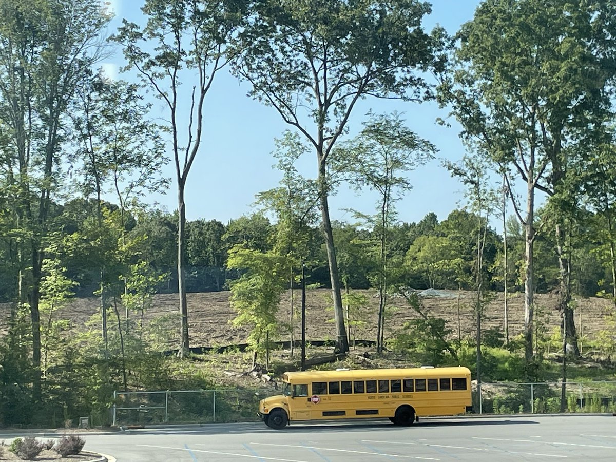 Shulmanshines's tweet photo. Where is the Lorax when we need him?  Someone needs to speak for the trees! https://t.co/lSgsA3UCwH