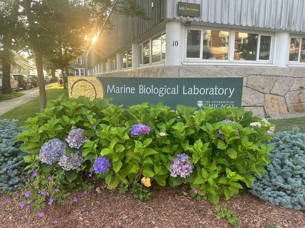 Alexhangsong's tweet photo. MBL Microbial Diversity 2023 @microbesatMBL 
An unforgettable summer in Woods Hole
Thank you all for everything. 

I also wanna thank my best advisors Prof. @LutRaskin and Prof. Steve Skerlos for encouraging me to take the course! https://t.co/4GY9RMFVrT
