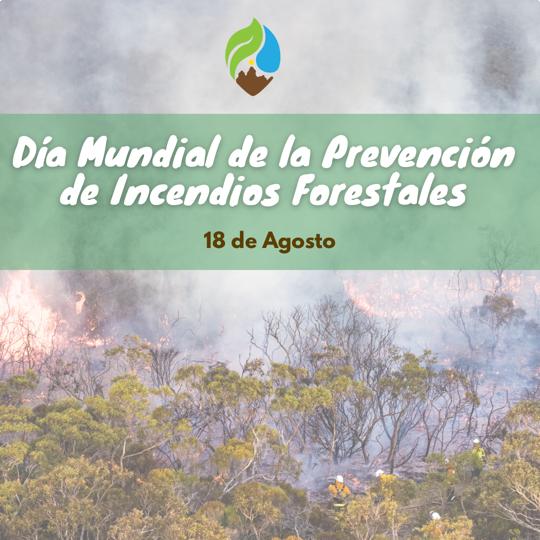 Hoy se celebra el Día Mundial de la Prevención de Incendios Foreatales. 

Un día para  Concienciar sobre la problemática y consecuencias que producen los incendios, y asi recordar la importancia de evitar estos sucesos en las áreas naturales.