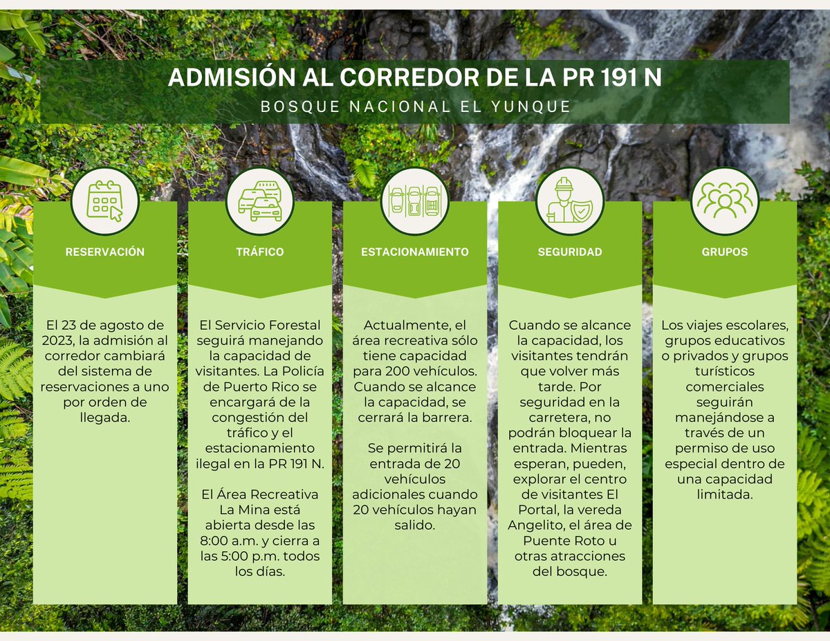 El Yunque NF tweet media