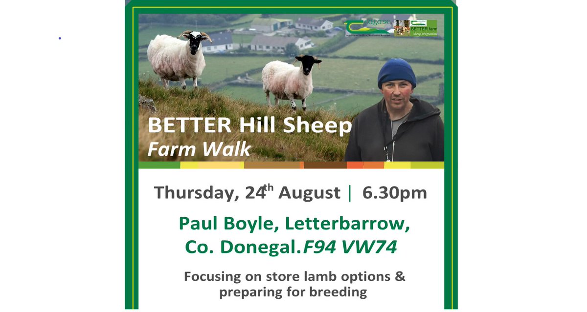 Join us on Thursday 24th of August at 6.30pm on Teagasc BETTER Farm Paul Boyle at Tymeen, Letterbarrow, Co. Donegal, F94 VW74 for a Hill Sheep farm walk.  Focus on store lamb options and preparing for breeding, All Welcome... #Donegal #HillSheep #Teagasc