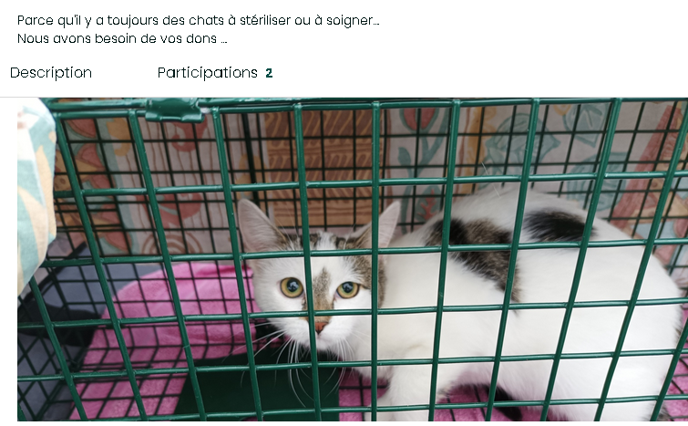 catadicta's tweet photo. 🆘 L'association #ChatsSansToit a besoin d'aide pour continuer son travail formidable de stérilisation et soin des chats errants sur la ville de #Montauban (ils sont sur Facebook) 😺

Pour participer, voici la cagnotte @Leetchi : 
https://t.co/2HSDXOJSz3

Merci ! 🙏 https://t.co/jX1NCQaIi3