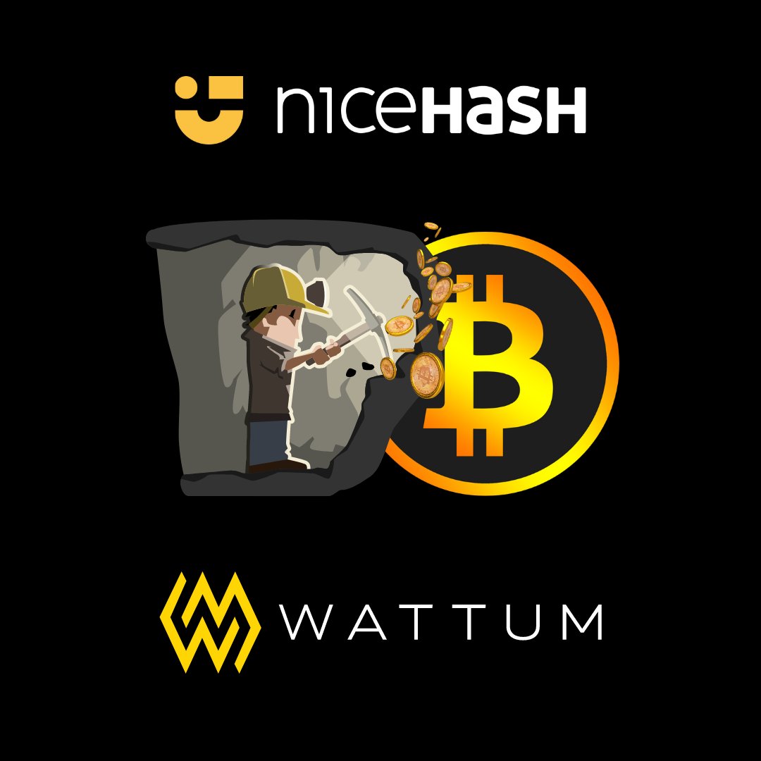 WATTUM (@wattumofficial) / Posts / X