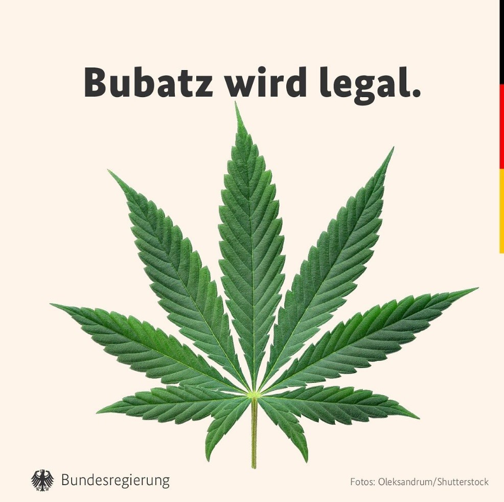 Cannabis soon be legal in germany! 🐱🦄🌿🍀❤
#love 
#cannabislegalisierung 
#cannabis #cannabisdeutschland