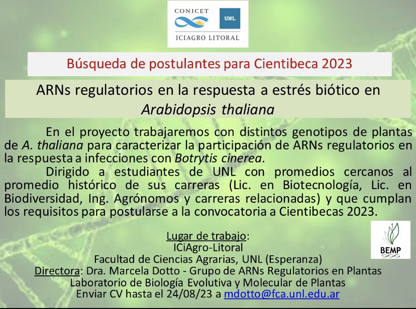 BempICiAgro's tweet photo. ¡Buscamos postulantes para Cientibecas! Contactarse por mail o por DM https://t.co/5O6HjeIbGC