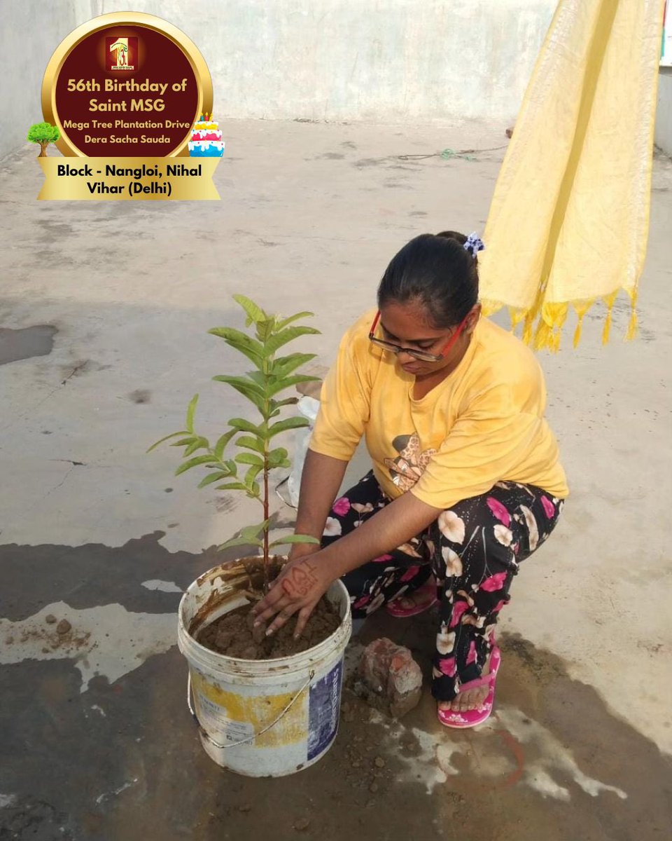 #56thBirthdayWithTreePlantation #56thBirthdayOfSaintMSG