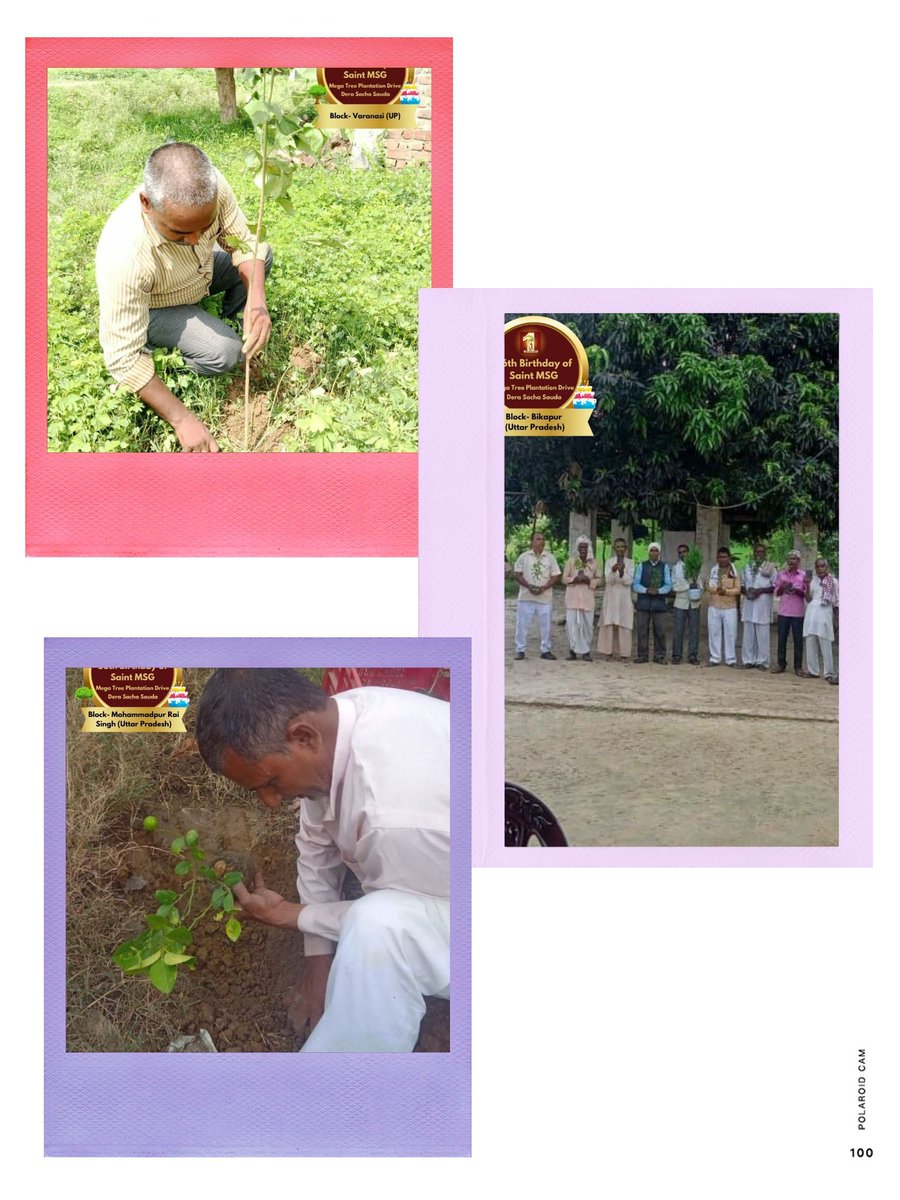 डेरा सच्चा सौदा के करोडों अनुयायियों ने #SaintDrMSG की प्रेरणा से प्रकृति के संरक्षण और हरित भारत में योगदान देने के लिए वृक्षारोपण करने का संकल्प लिया हैं व अपने गुरू के 56वें जन्मदिन पर सभी ने हर वर्ष की तरह पौधरोपण कर उन्हें उपहार दिया। 
#GiftOfTrees
#56thBirthdayOfSaintMSG