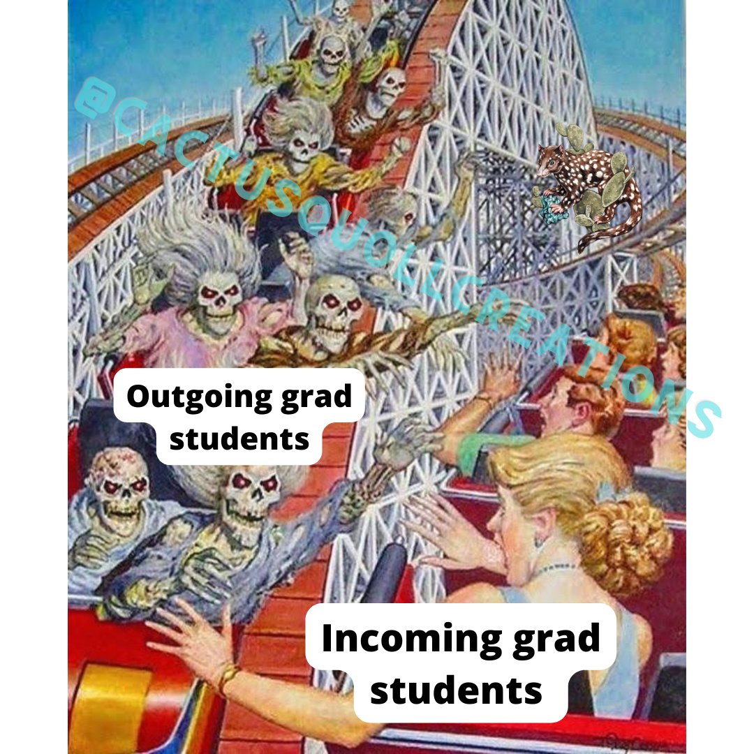 Gael Sanchez (she/her) (@cactusquoll) on Twitter photo 