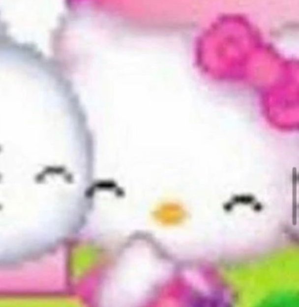 /ᐠ - ˕ -マ tweet media