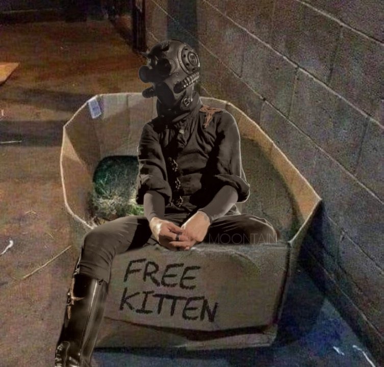 phantomonacross's tweet photo. how papa found me on the streets guys https://t.co/FP6bwOEazN