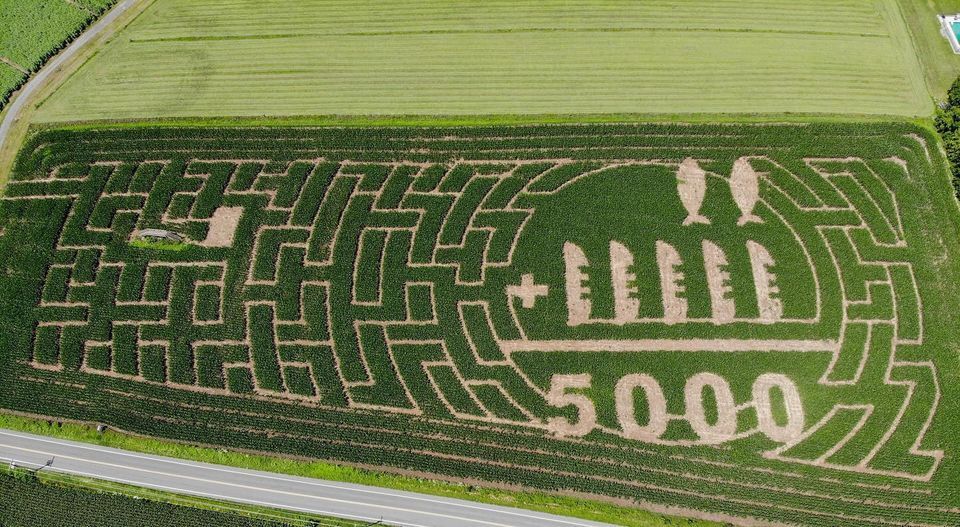 thechosentv's tweet photo. Yes, this is real. The owners of Abbott Farms, Alice and Warren Abbott, are big #TheChosen fans. If you’re anywhere near Baldwinsville, New York, please be sure to stop by! https://t.co/meUC2OiIkB