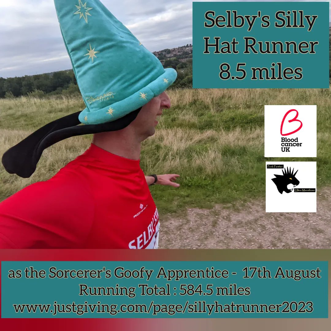 sillyhatrunner's tweet photo. I had a great time with #selbystriders at  #KenBingleymemorial #race  organised by @Run_ARR . What a wonderful course and lovely people too!
I wore this awesome @Disney #fantasia for @bloodcancer_uk 
Check out my fundraising page:
https://t.co/d5N84x2Hfe
#charity  #fundraising https://t.co/B1i5Hj3plT