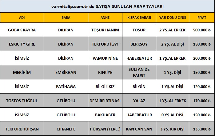 MetinMfg's tweet photo. https://t.co/j0wbwE7vpt ARAP taylara #varmitalip #Gelibolu #Cihanefe #Fatihağa #Diliran #Embirhan #SatilikTaylar,#SatilikGebeKisraklar,#horse #breeding #farm #farmlife #mareandfoal #ArabianHorses
#Thoroughbreds
#yearling
📞05362458068 https://t.co/TvFJ75puiv