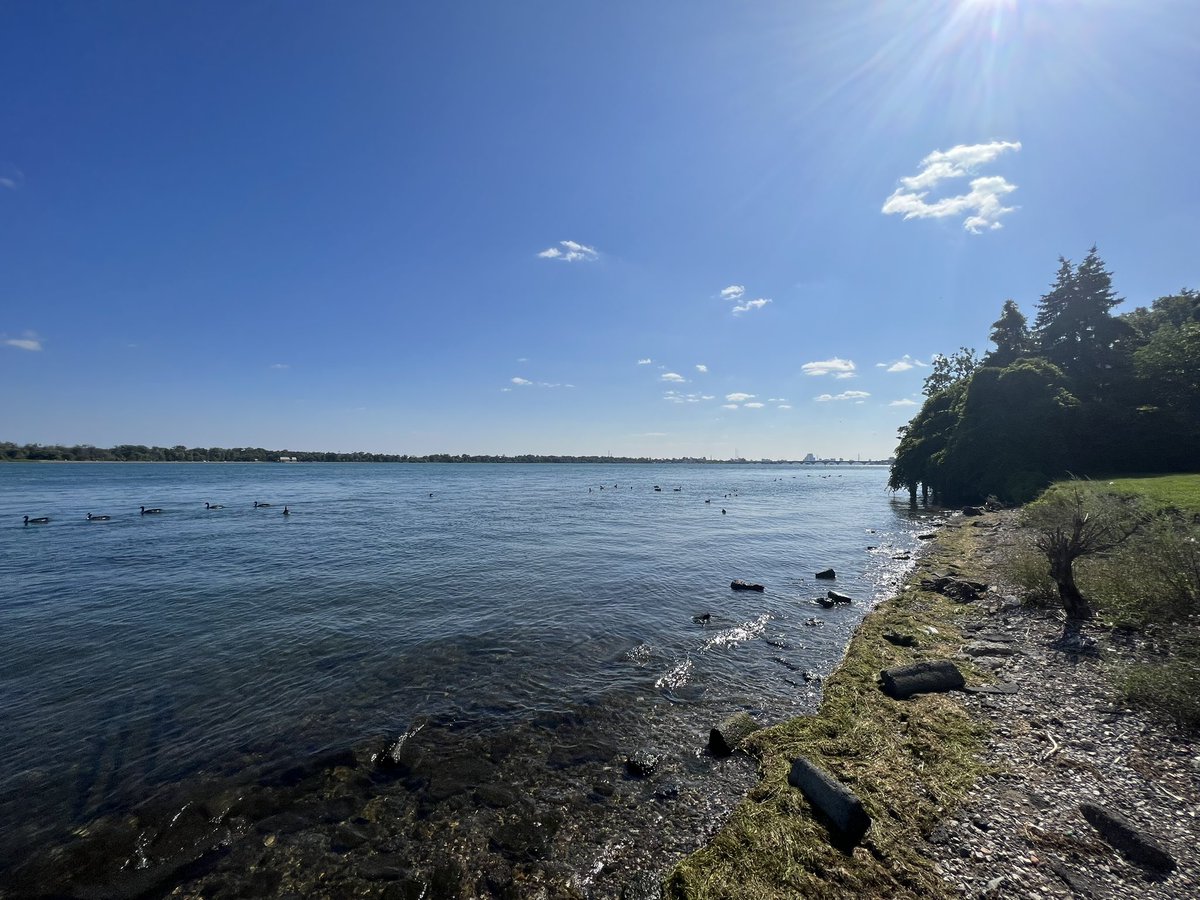 always growing tweet media