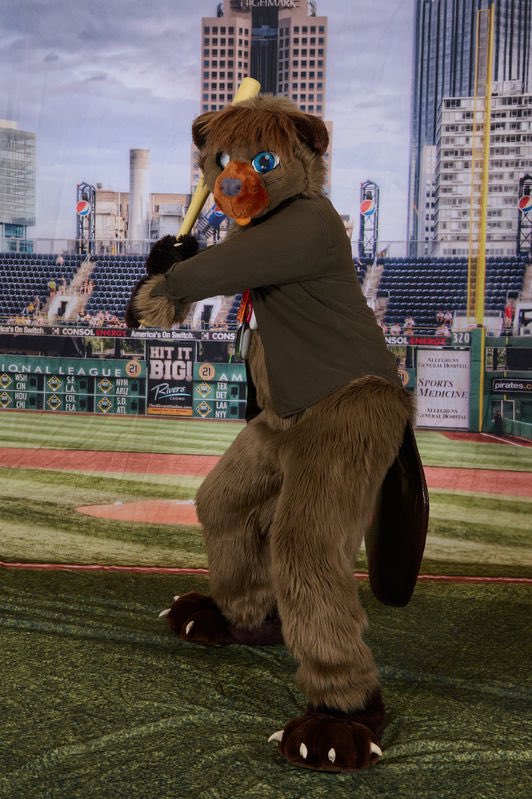 PonderBeaver's tweet photo. This beav is stepping up to the plate this #FursuitFriday. After the game, this bat will make a great snack!
✂️: @twotailsfursuit
📸: DragonScales Photography at @anthrocon 2023
#furries #fursuits #beaver #baseballfurries #battterup https://t.co/qSV0Dl0HJm