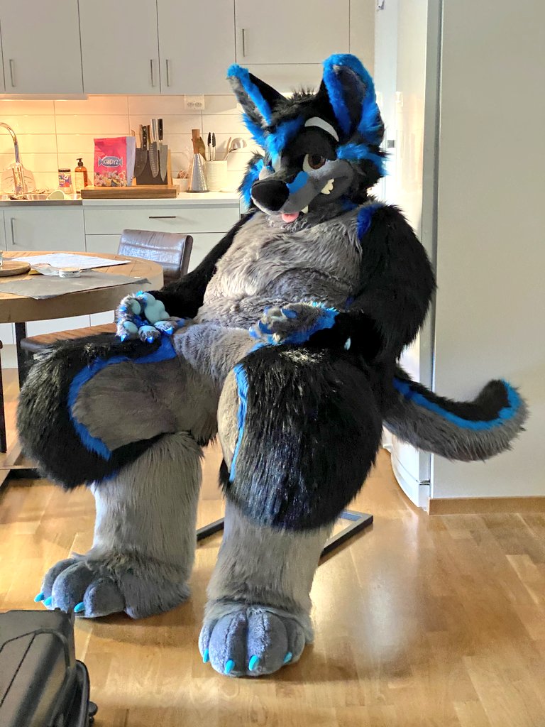 vectorwuff's tweet photo. Hella unit woof for #FursuitFriday 💪

📸 @KooriKitsune 💙 https://t.co/rzxcC5FLYb