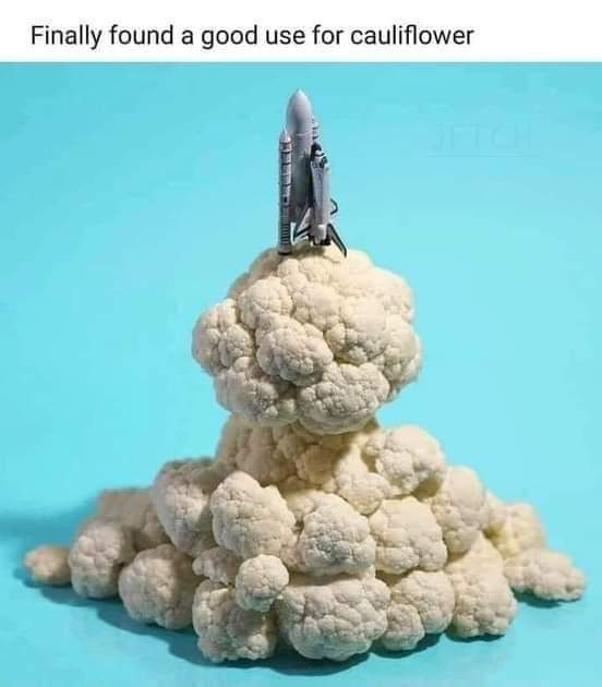 Didn't your mother tell you to not play with your food?

#PlayingWithFood #Cauliflower #SpaceLaunch #Spaceship #SpaceModels #ModelScenery