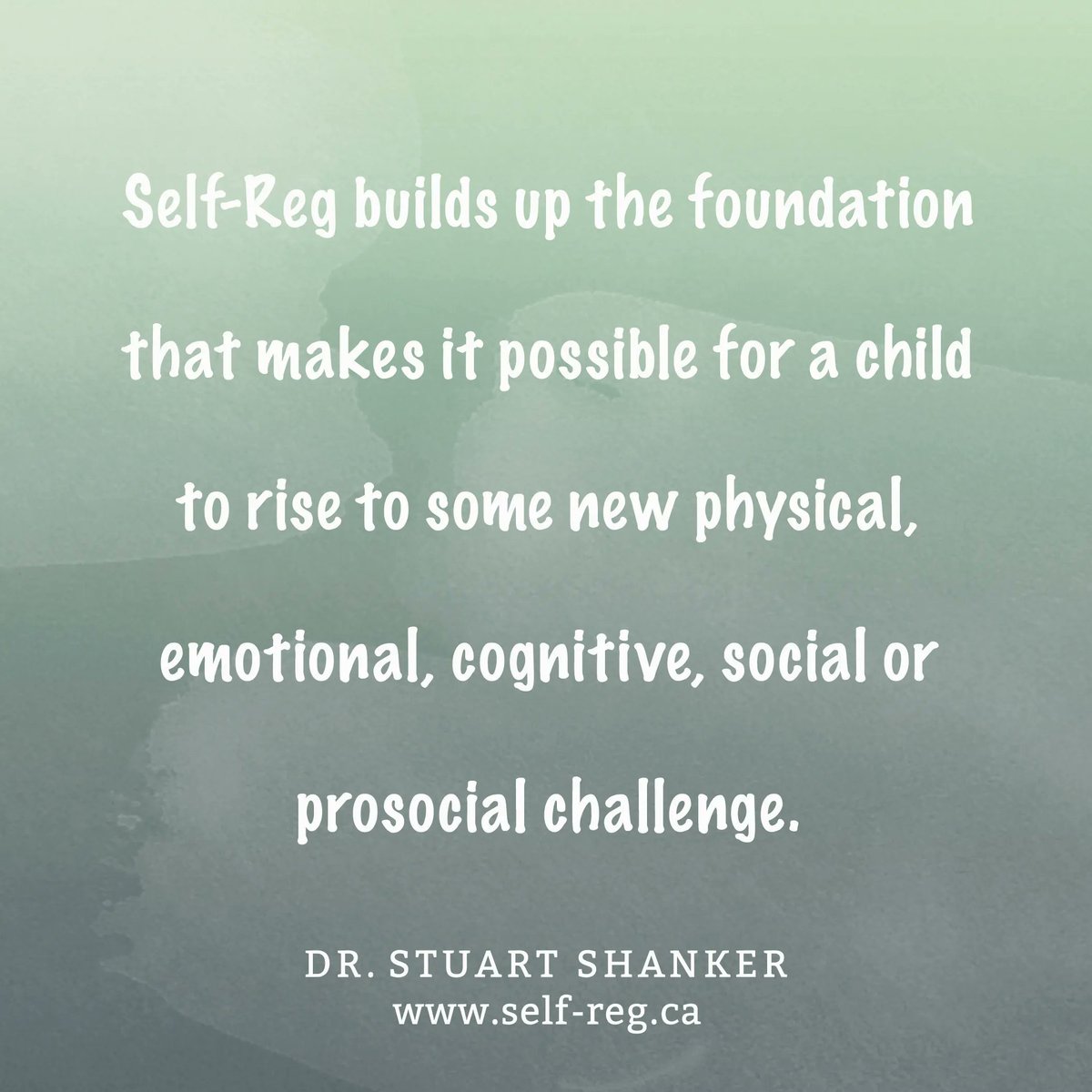 "Self-Reg builds up the foundation that makes it possible for a child to rise to some new physical, emotional, cognitive , social or prosocial challenge." ~ Stuart Shanker
self-reg.ca

#ShankerWisdom #SelfReg