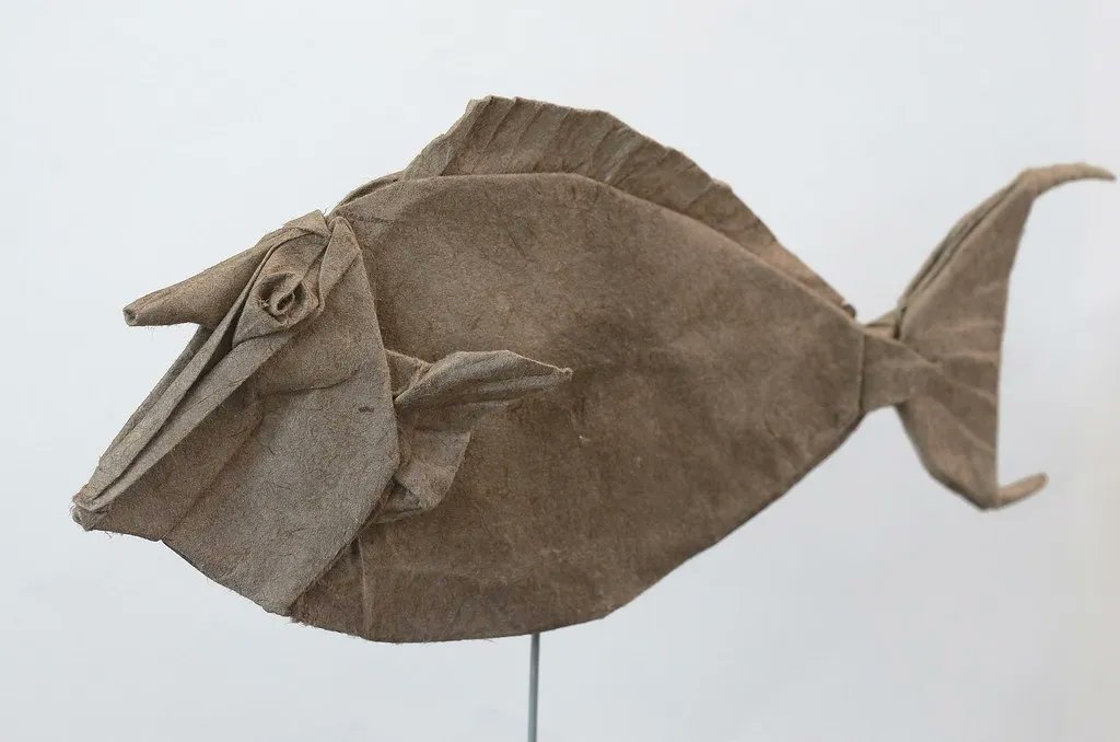 Bluespine unicornfish, designed and folded by Kei Watanabe (source: buff.ly/3KDTCfc) #origami #bluespine #unicornfish