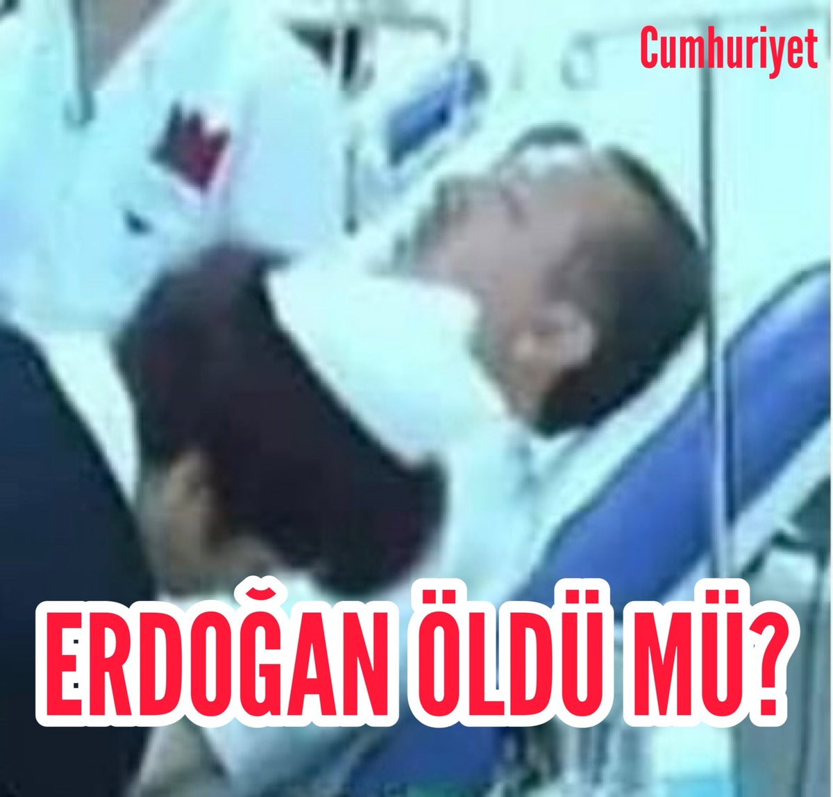 Eğer Haber doğruysa bir hafta boyunca başıboş sokak köpeklerini duyuracağım.
👇👇