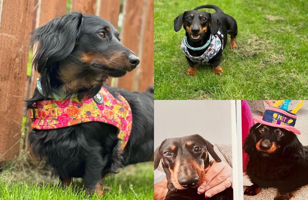 7792_44's tweet image. My beautiful babies