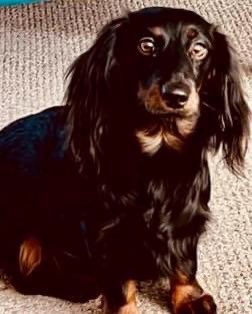 7792_44's tweet image. My beautiful babies