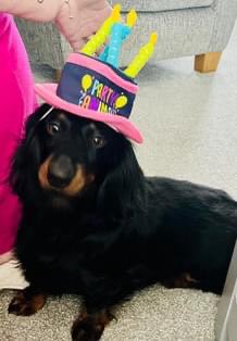 7792_44's tweet image. My beautiful babies