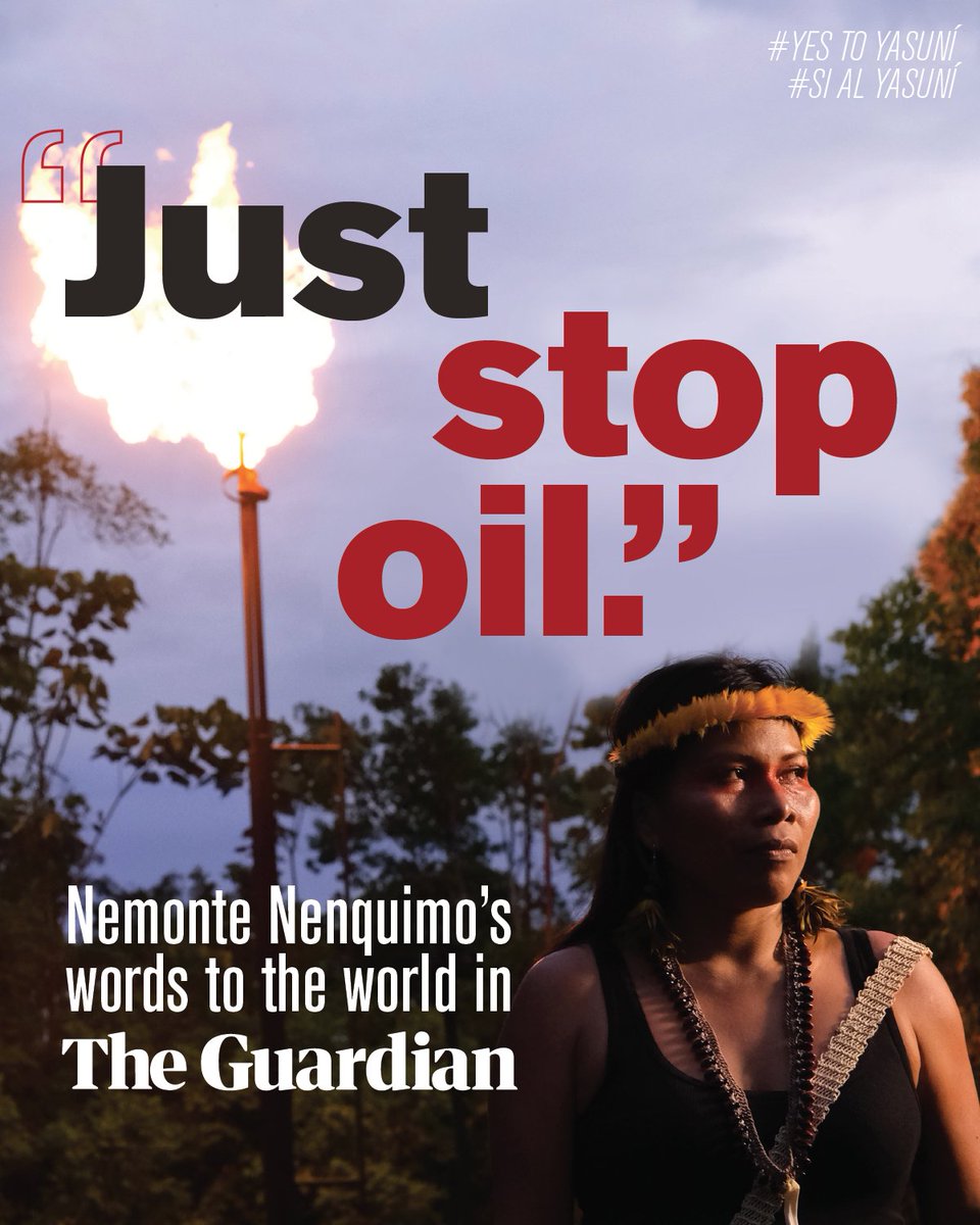 🚨In just 2 days, #Ecuador can show the world that People Power WINS over Big Oil! Read #NemonteNenquimo's powerful op-ed about the historic referendum to save Yasuni rainforest in today's @guardian: bit.ly/NemonteOpEd RT for global solidarity #SiAlYasuní #YesToYasuní