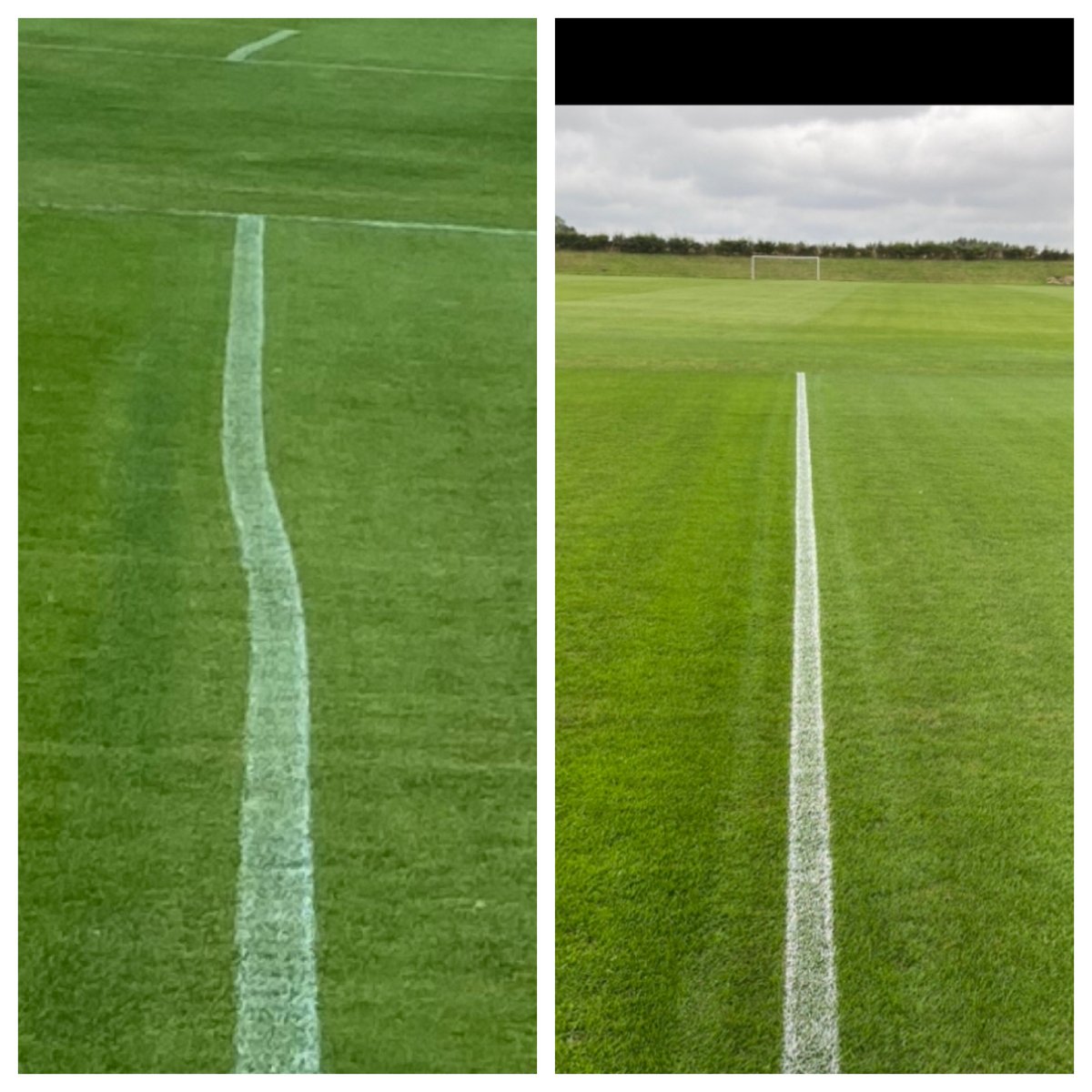 michael merriman tweet media