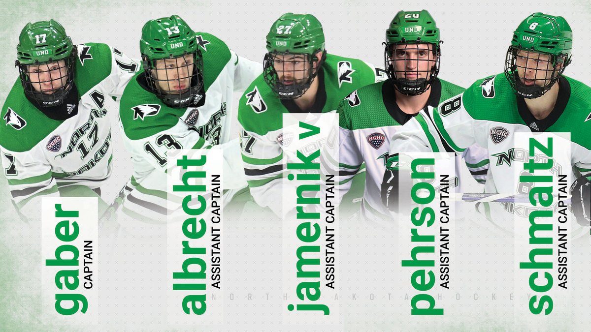 Introducing our leadership group for the 2023-24 season!

(C): Riese Gaber
(A): Carson Albrecht
(A): Louis Jamernik V
(A): Keaton Pehrson
(A): Jake Schmaltz

RELEASE: fightinghawks.com/news/2023/8/18…

#UNDproud | #LGH