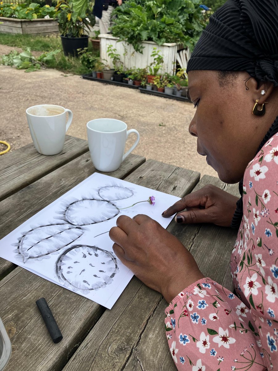 Froglife tweet media