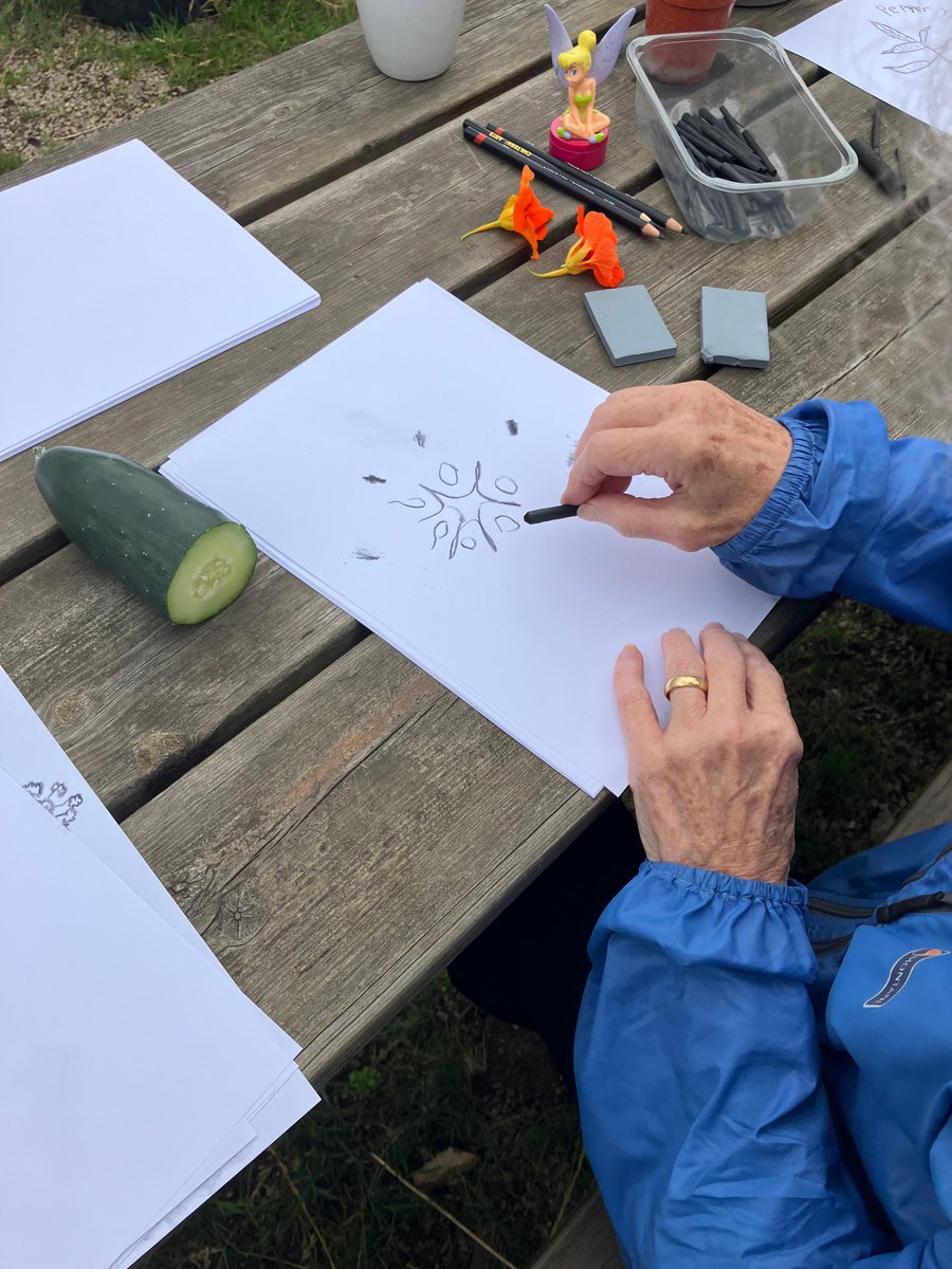 Froglife tweet media