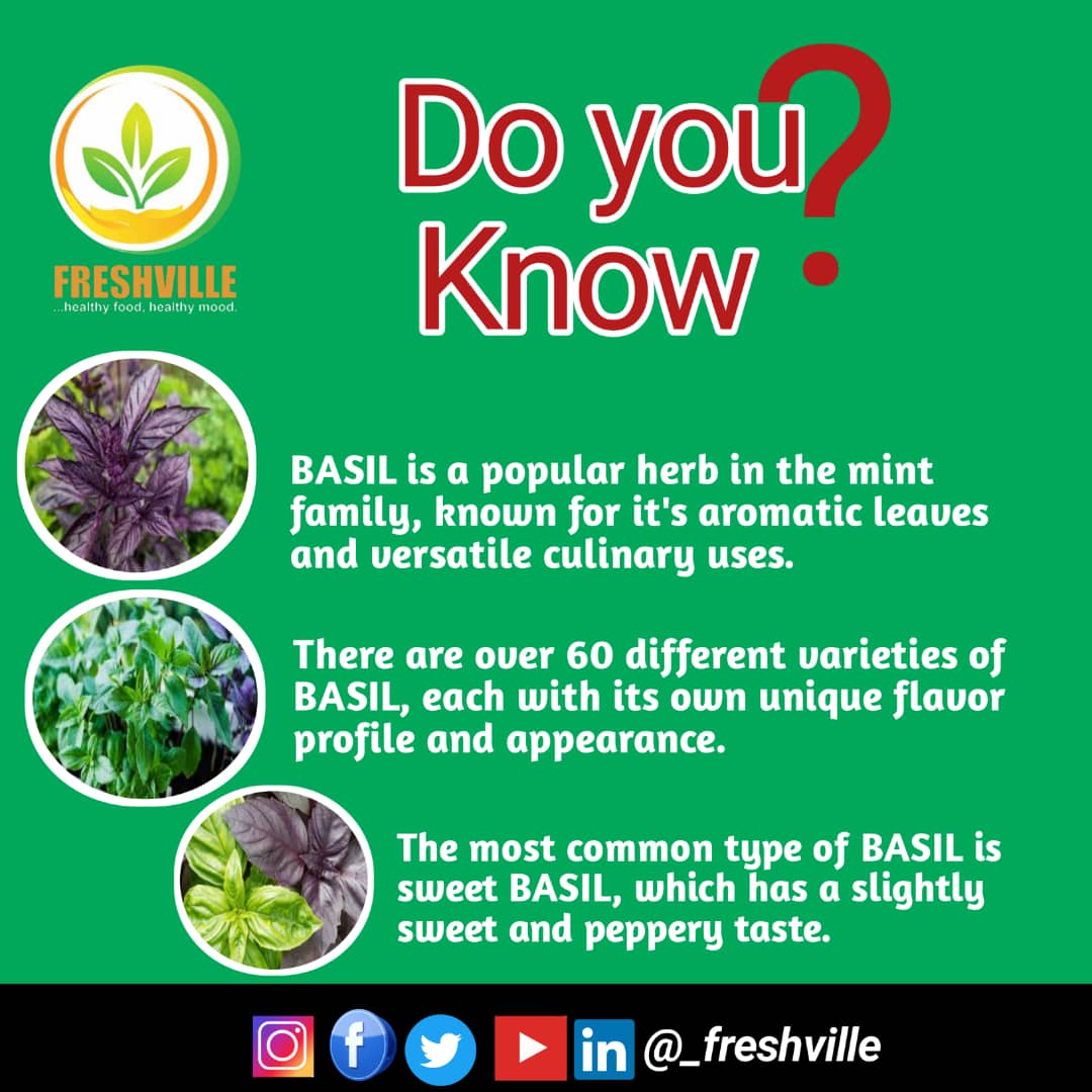 Basilicious Weekend: The Herb of Many Flavors! 🌿✨ Explore its minty family, 60+ varieties, and sweet peppery taste with <a href="/_FreshVille/">Fresh Ville Ltd</a>.
#FreshVille
#EruditeFarmers
#HealthyFoodHealthyMood
#Basilicious
#FlavorfulHerb