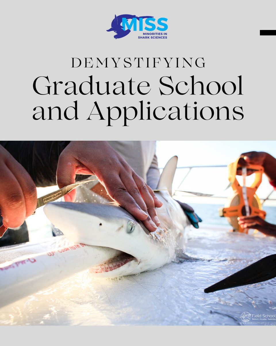 MISS_Elasmo's tweet photo. It's graduate school application season!  It can be really scary to consider graduate school when you don't have any idea where to start. What even is it?! We put together a short guidepost breaking down some commonly asked questions. https://t.co/ha4cXj9J9x