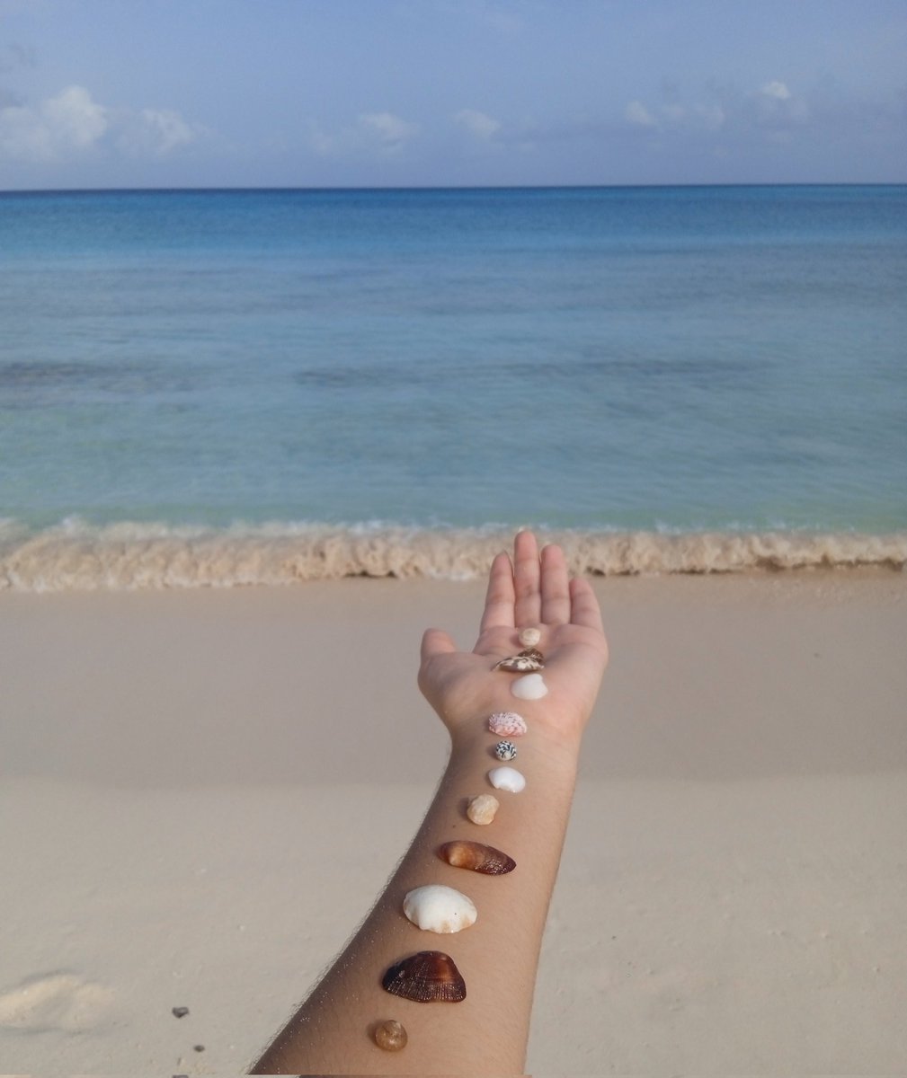 via__ross's tweet photo. tweet válido para poner fotos de la playa tomadas por tí.
#abrohilo #beach https://t.co/wRyI55T0yJ