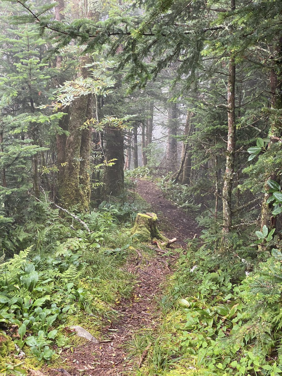 whatsthat's tweet image. 