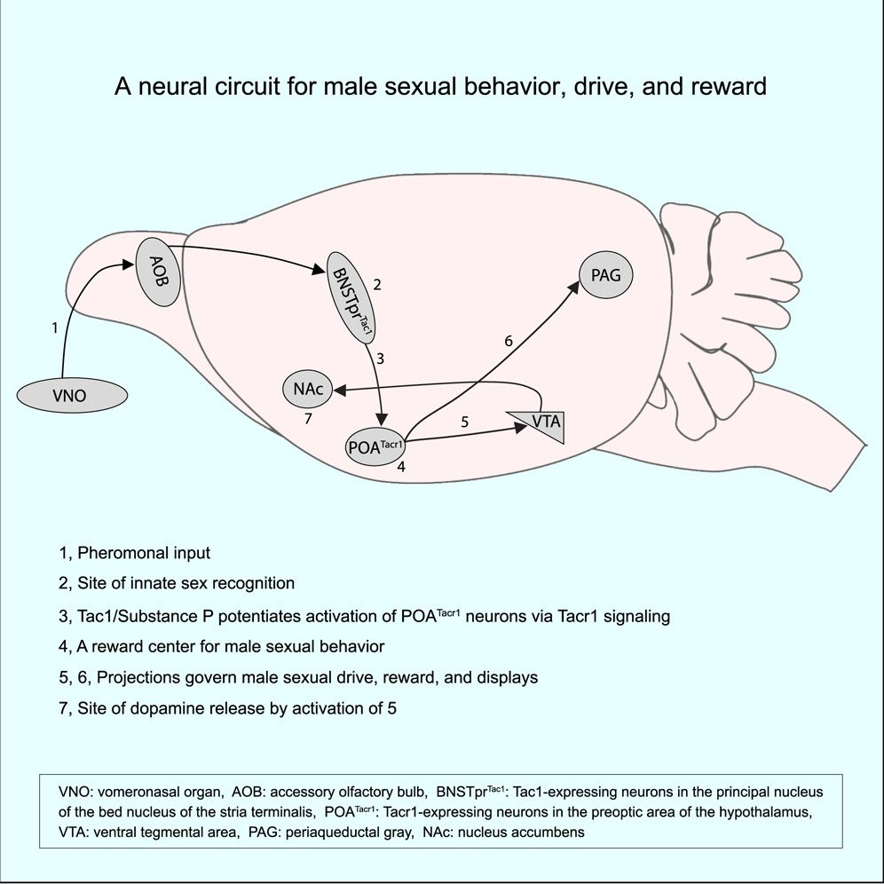 Inscopix tweet media