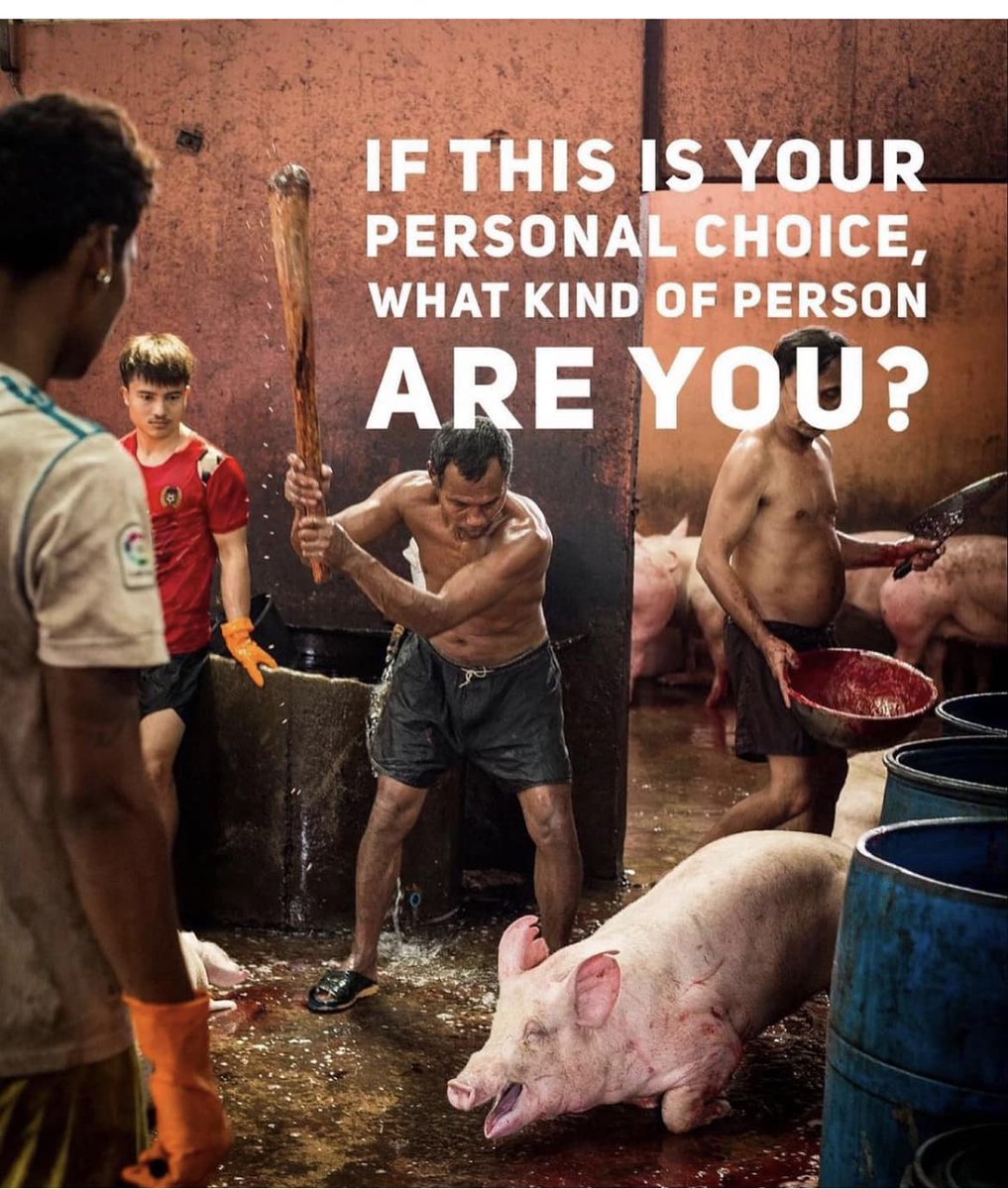 If you knew this is how your ham or pork came to be, would you still want it? Would your heart speak louder than your taste buds? Would you have the will to say NO MORE? Do you have the understanding of how wrong, how unconscionable this is?...because it is.
